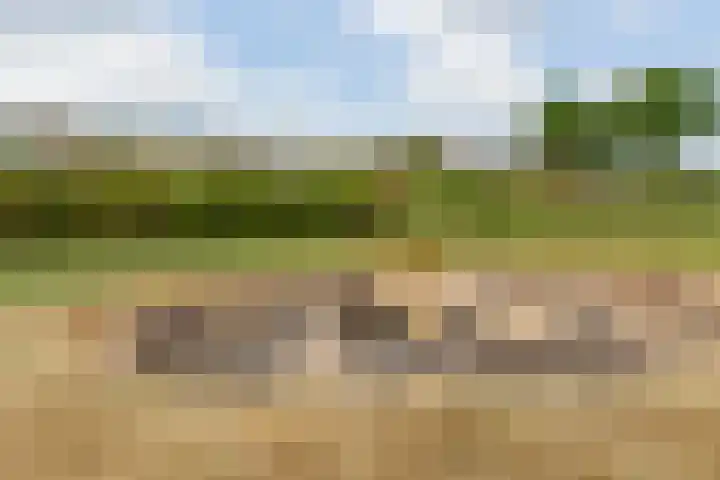 Sieverdinkweg 14 Winterswijk Kotten thumbnail 45