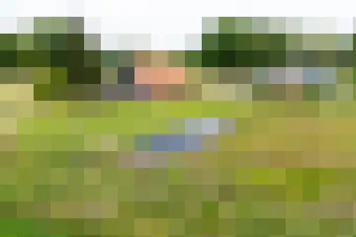 Sieverdinkweg 14 Winterswijk Kotten thumbnail 48