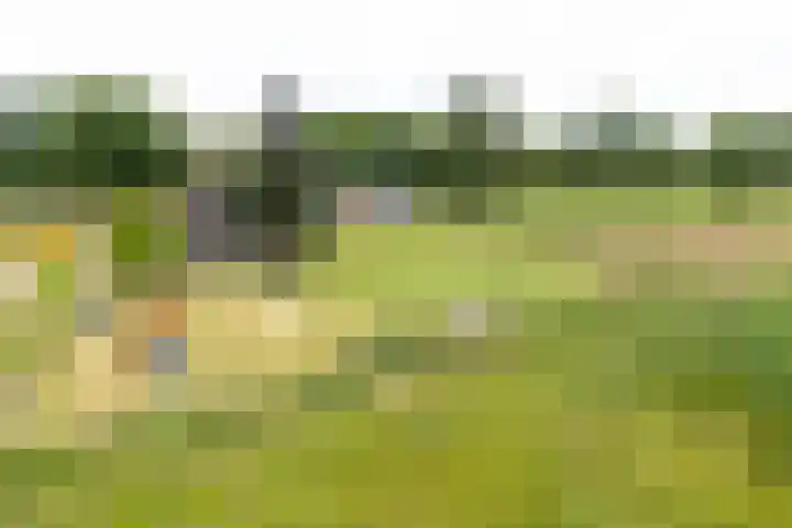 Sieverdinkweg 14 Winterswijk Kotten thumbnail 51