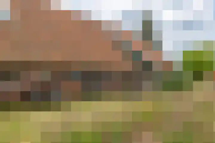 Sieverdinkweg 14 Winterswijk Kotten thumbnail 55