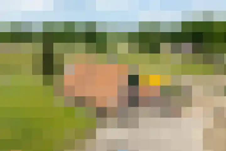 Sieverdinkweg 14 Winterswijk Kotten thumbnail 6