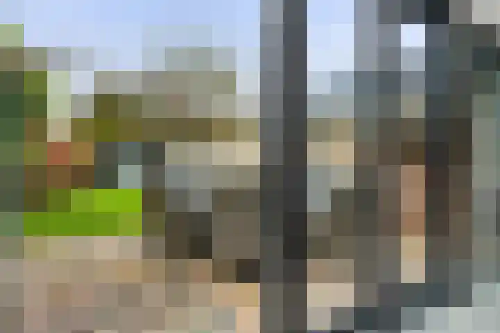 Sieversmaat 21 Schoonebeek thumbnail 19