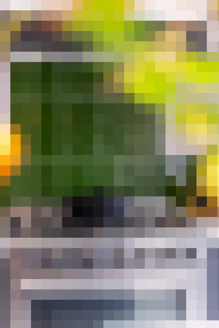 Sieversmaat 21 Schoonebeek thumbnail 21