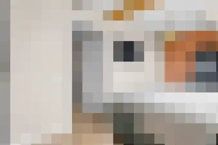 Sieversmaat 21 Schoonebeek thumbnail 28