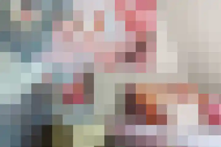 Sieversmaat 21 Schoonebeek thumbnail 33