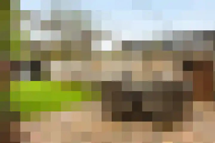 Sieversmaat 21 Schoonebeek thumbnail 37