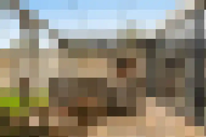 Sieversmaat 21 Schoonebeek thumbnail 38