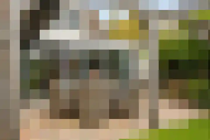 Sieversmaat 21 Schoonebeek thumbnail 39