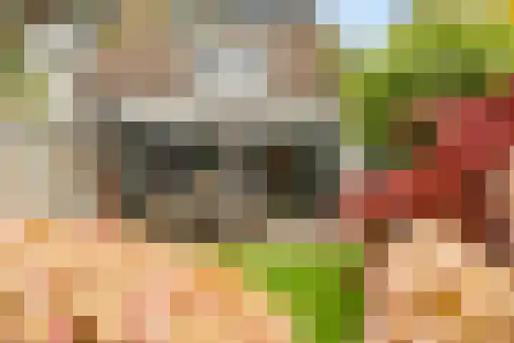 Sieversmaat 21 Schoonebeek thumbnail 40