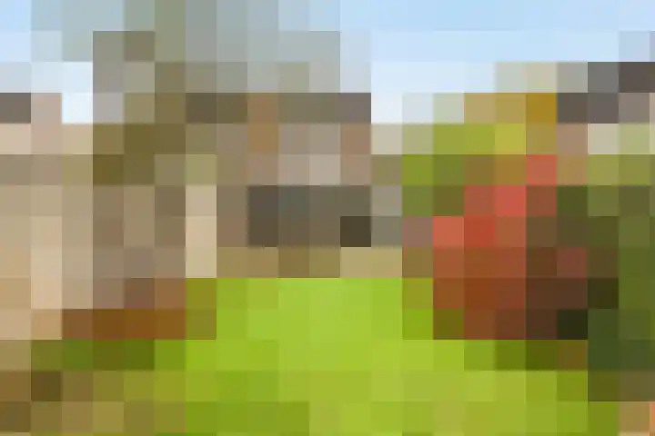Sieversmaat 21 Schoonebeek thumbnail 41