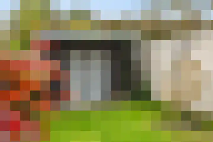 Sieversmaat 21 Schoonebeek thumbnail 42