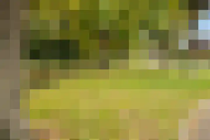 Sieversmaat 21 Schoonebeek thumbnail 43