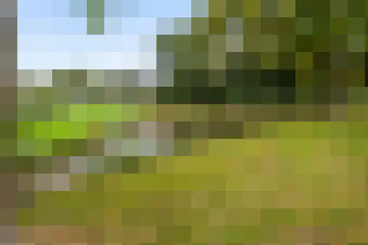 Sieversmaat 21 Schoonebeek thumbnail 44