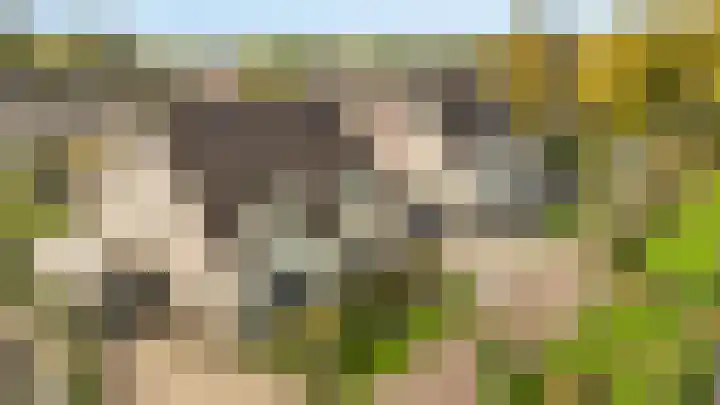 Sieversmaat 21 Schoonebeek thumbnail 46
