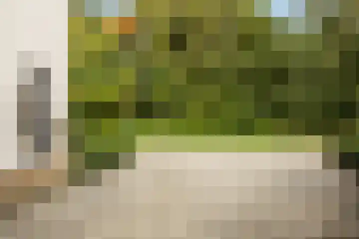 Sieversmaat 21 Schoonebeek thumbnail 5