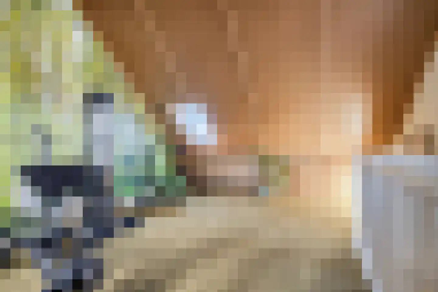 Sigarenmaker 1 Oost West en Middelbeers thumbnail 29