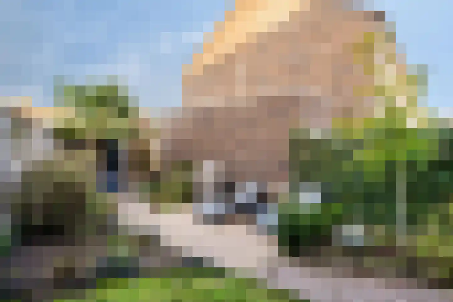 Sigarenmaker 1 Oost West en Middelbeers thumbnail 30