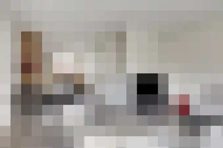 Sigarenmaker 5 Oost West en Middelbeers thumbnail 12