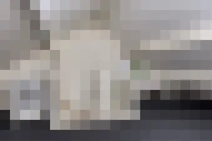 Sigarenmaker 5 Oost West en Middelbeers thumbnail 25