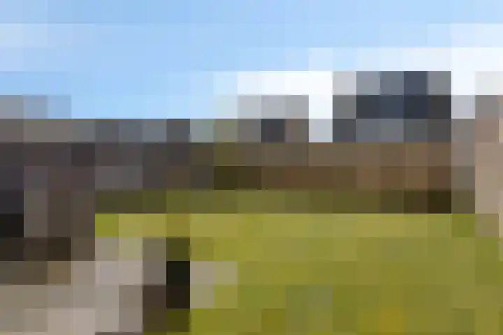 Sigarenmaker 5 Oost West en Middelbeers thumbnail 27