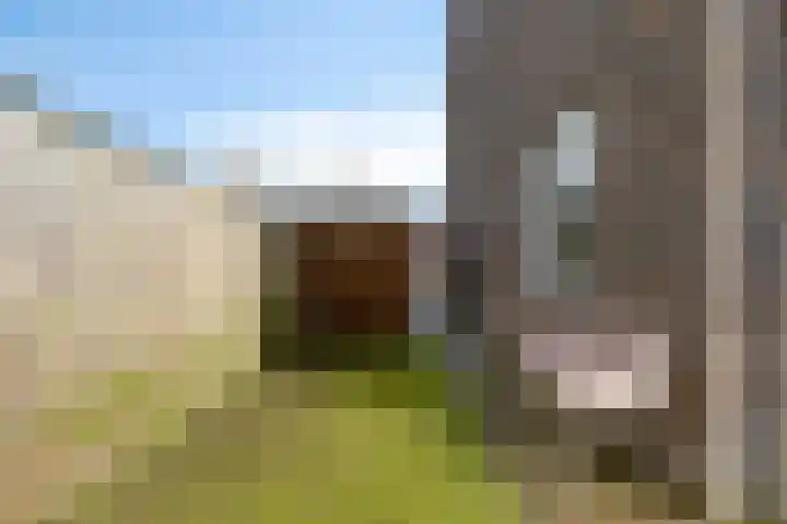 Sigarenmaker 5 Oost West en Middelbeers thumbnail 28