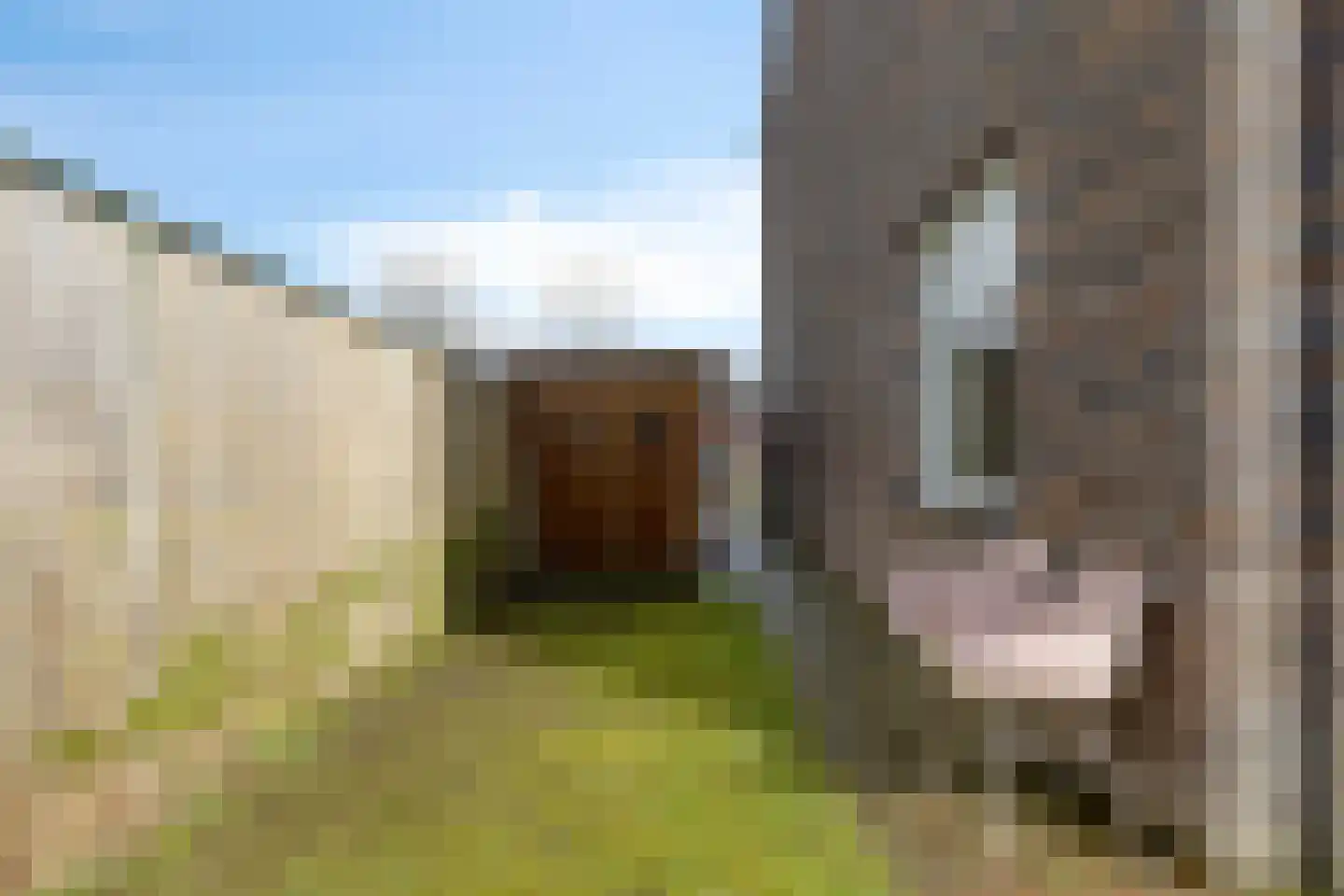 Sigarenmaker 5 Oost West en Middelbeers thumbnail 28
