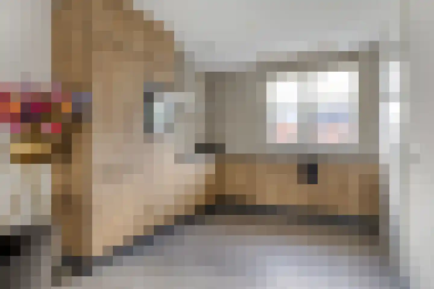 Sigarenmaker 5 Oost West en Middelbeers thumbnail 7