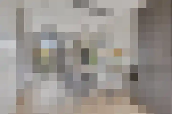 Sigarenmaker 9 Oost West en Middelbeers thumbnail 16
