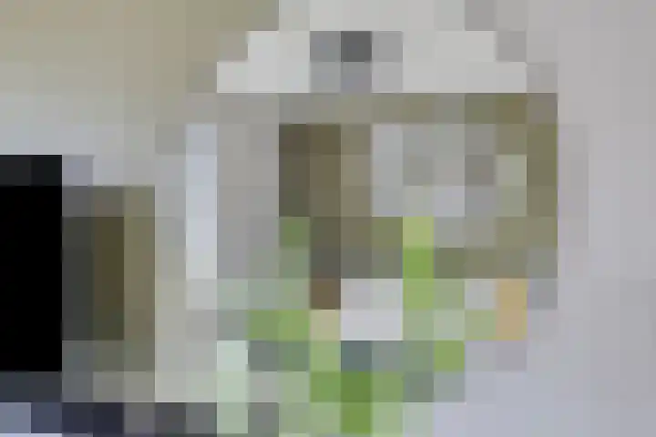 Sigarenmaker 9 Oost West en Middelbeers thumbnail 17