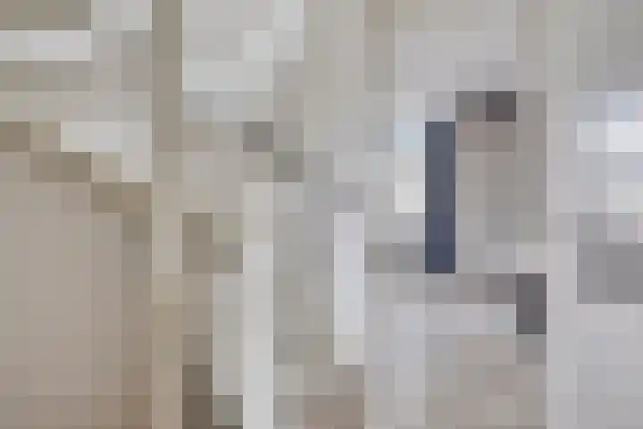 Sigarenmaker 9 Oost West en Middelbeers thumbnail 18