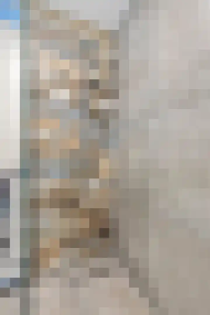 Sigarenmaker 9 Oost West en Middelbeers thumbnail 25
