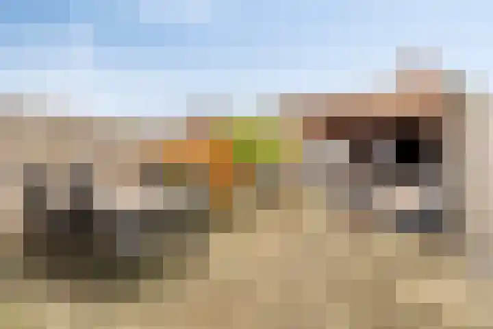 Sigarenmaker 9 Oost West en Middelbeers thumbnail 28