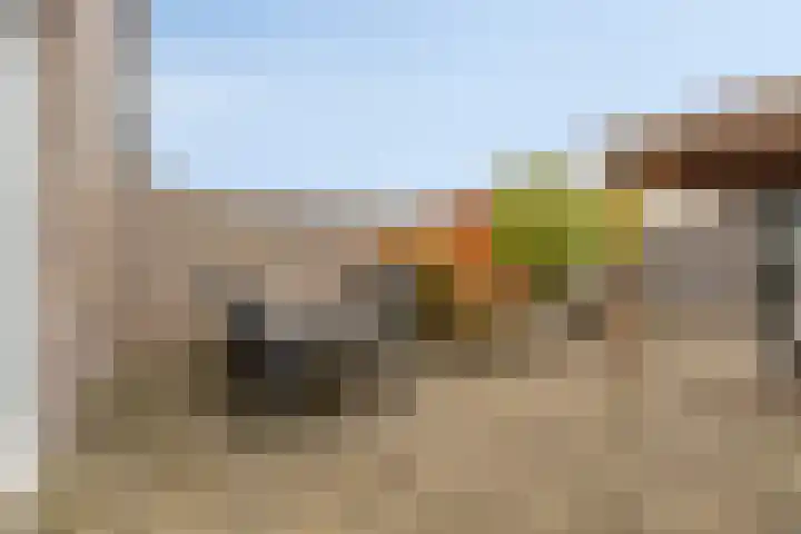 Sigarenmaker 9 Oost West en Middelbeers thumbnail 29
