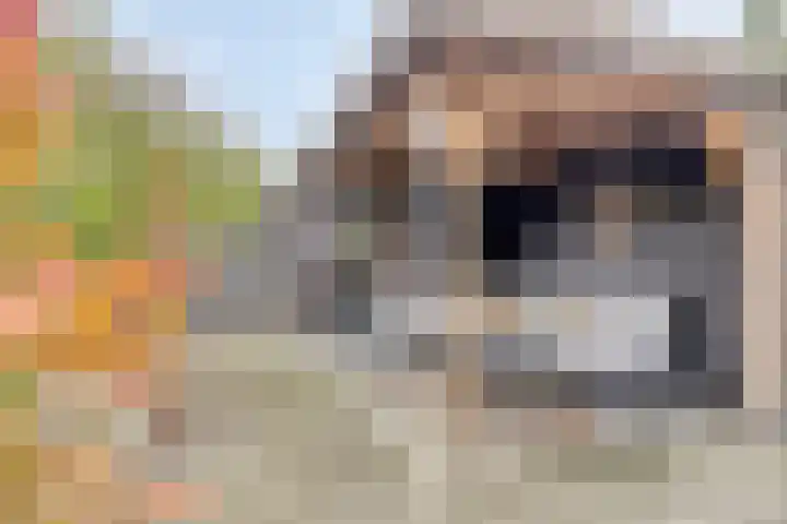 Sigarenmaker 9 Oost West en Middelbeers thumbnail 31