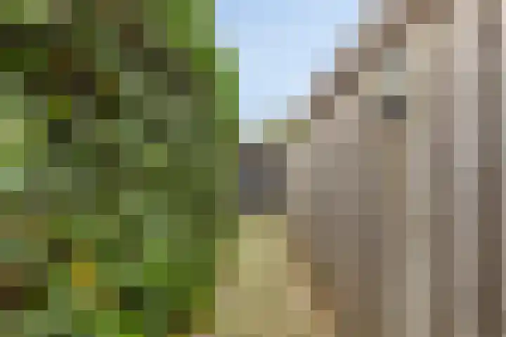 Sigarenmaker 9 Oost West en Middelbeers thumbnail 33