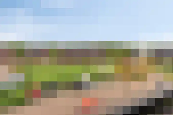 Sigarenmaker 9 Oost West en Middelbeers thumbnail 36