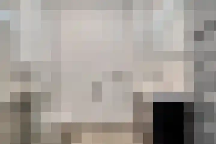 Sigarenmaker 9 Oost West en Middelbeers thumbnail 4