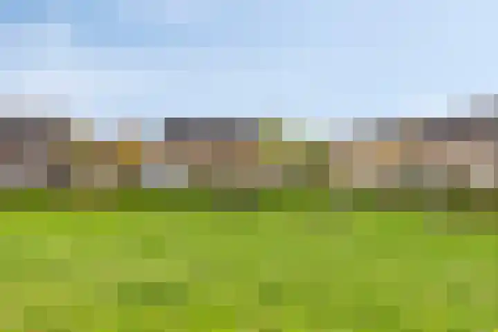 Sigarenmaker 9 Oost West en Middelbeers thumbnail 6