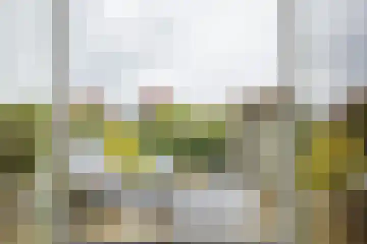 Sigmaplantsoen 102 Leiden thumbnail 12