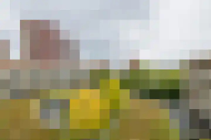 Sigmaplantsoen 102 Leiden thumbnail 14