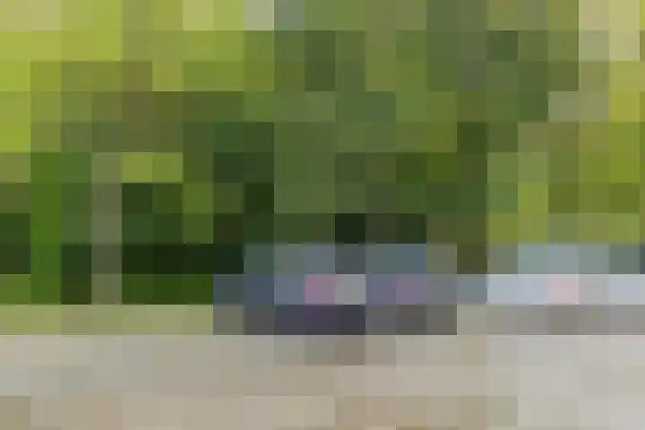 Sigmaplantsoen 102 Leiden thumbnail 23