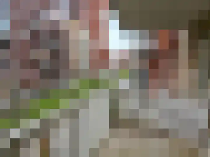 Sigmaplantsoen 20 Leiden thumbnail 11