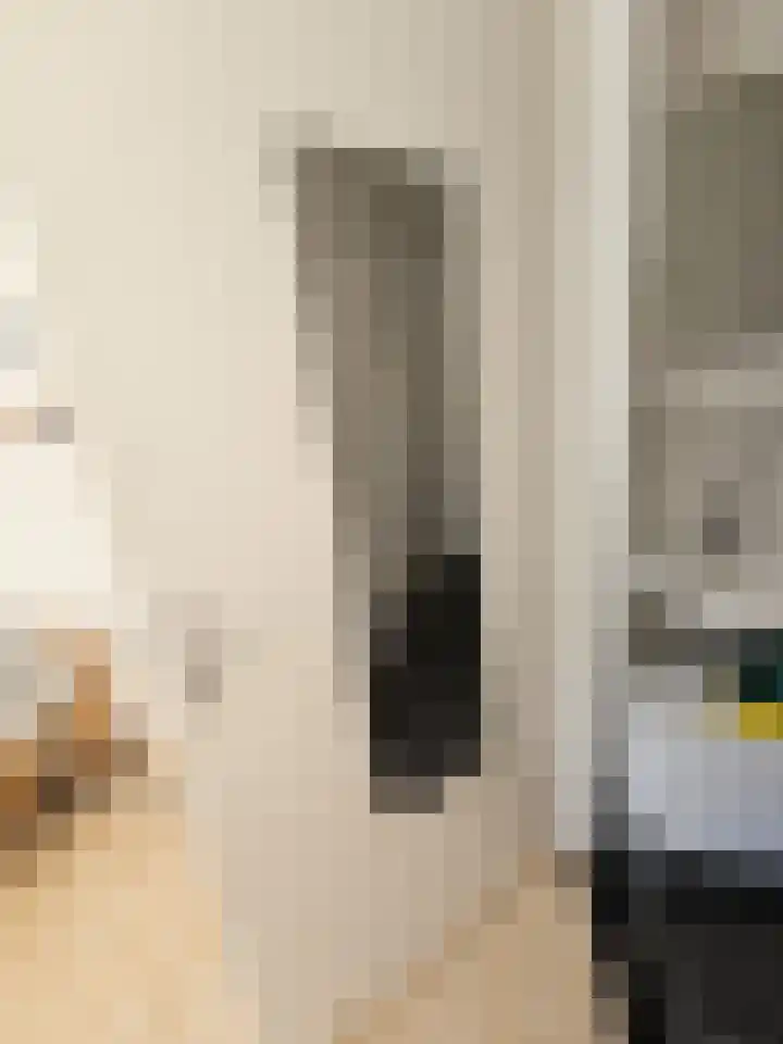 Sigmaplantsoen 20 Leiden thumbnail 13
