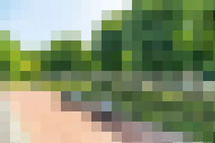 Sigmaplantsoen 36 Leiden thumbnail 12