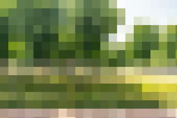 Sigmaplantsoen 36 Leiden thumbnail 5