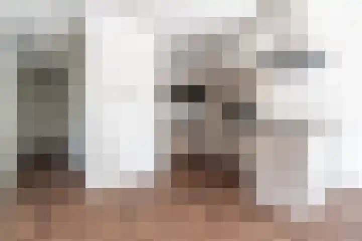 Sigmaplantsoen 36 Leiden thumbnail 6