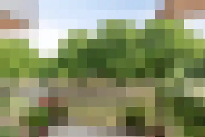 Sigmaplantsoen 64 Leiden thumbnail 16