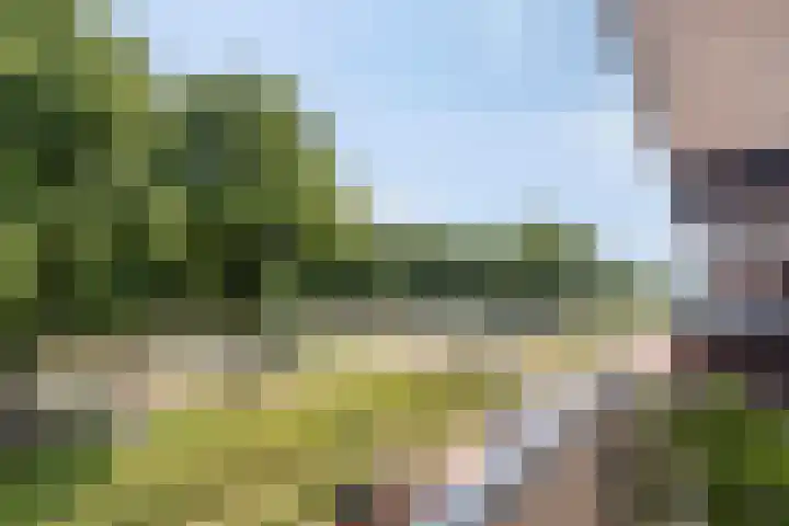 Sigmaplantsoen 64 Leiden thumbnail 17