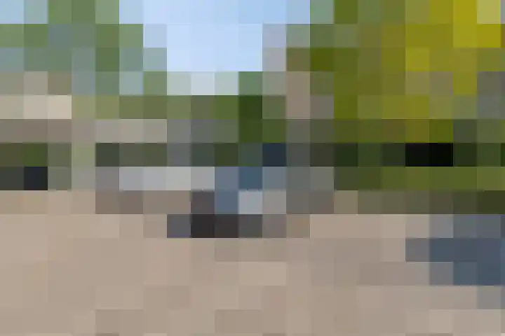 Sigmaplantsoen 64 Leiden thumbnail 18