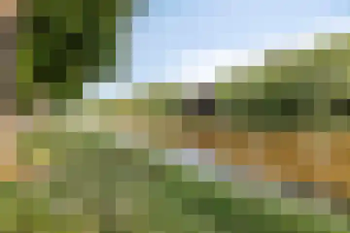 Sigmaplantsoen 64 Leiden thumbnail 22